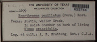 Image Associated With the Occurence